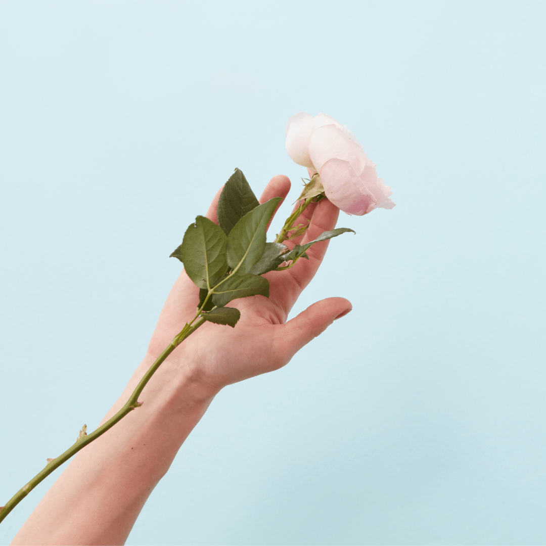 Unveiling the Beauty of Afghan Rose Oil: The Hero Ingredient for Mature Skin - Rena Roots™
