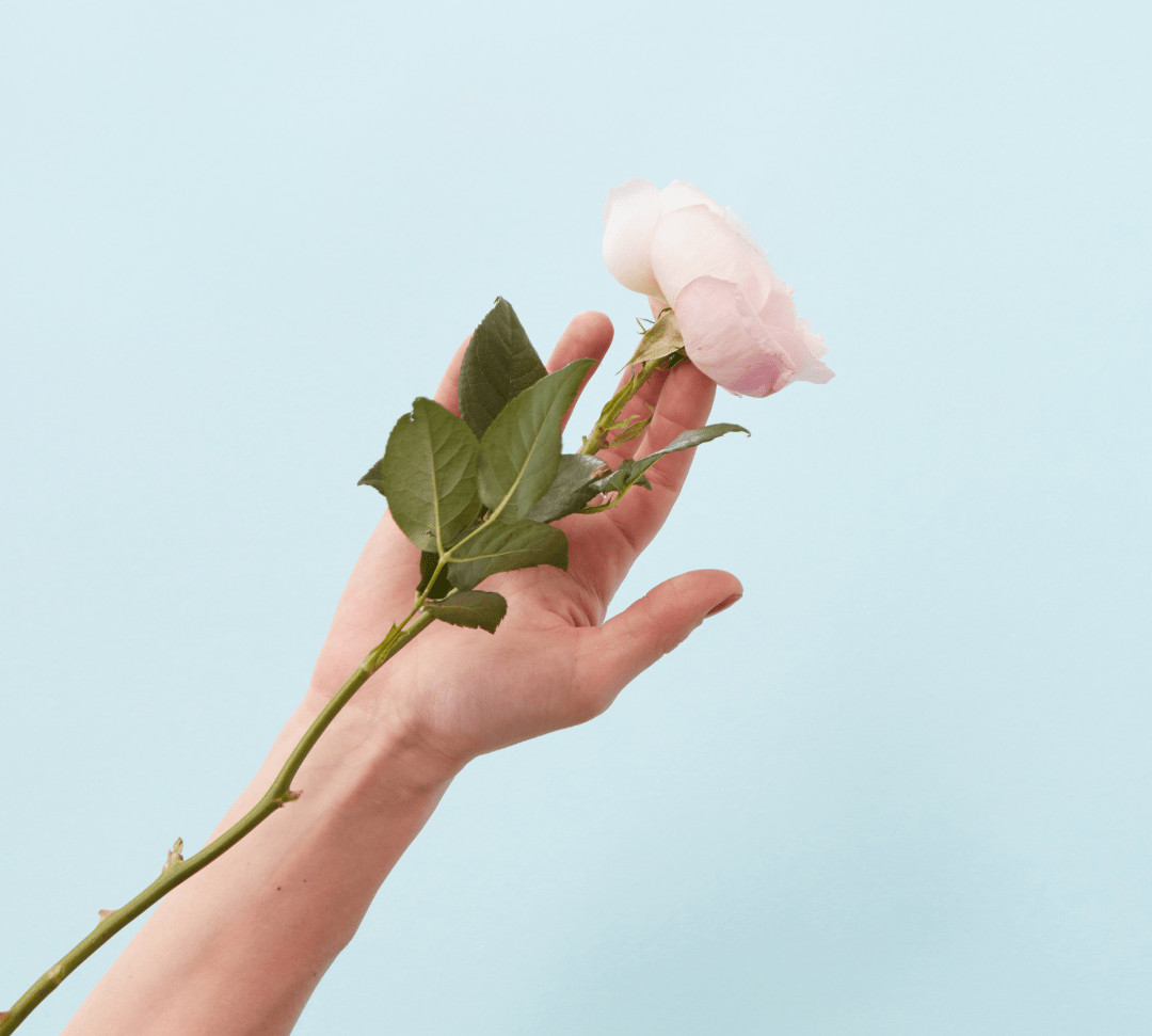 Unveiling the Beauty of Afghan Rose Oil: The Hero Ingredient for Mature Skin - Rena Roots™