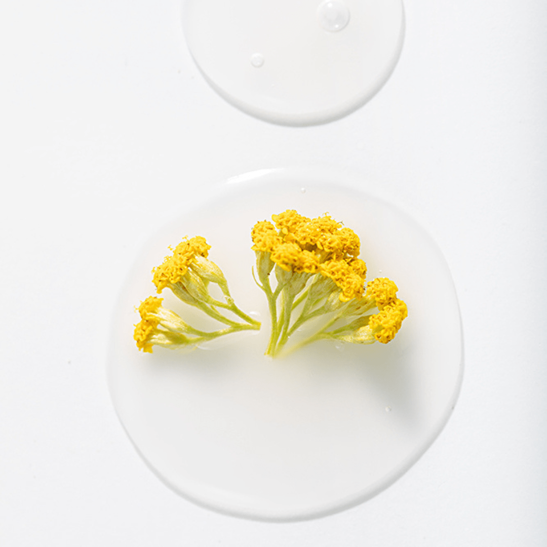 Combat Oily Skin with Immortelle Oil: Discover Rena Roots' Albanian Immortelle Oil - Rena Roots™