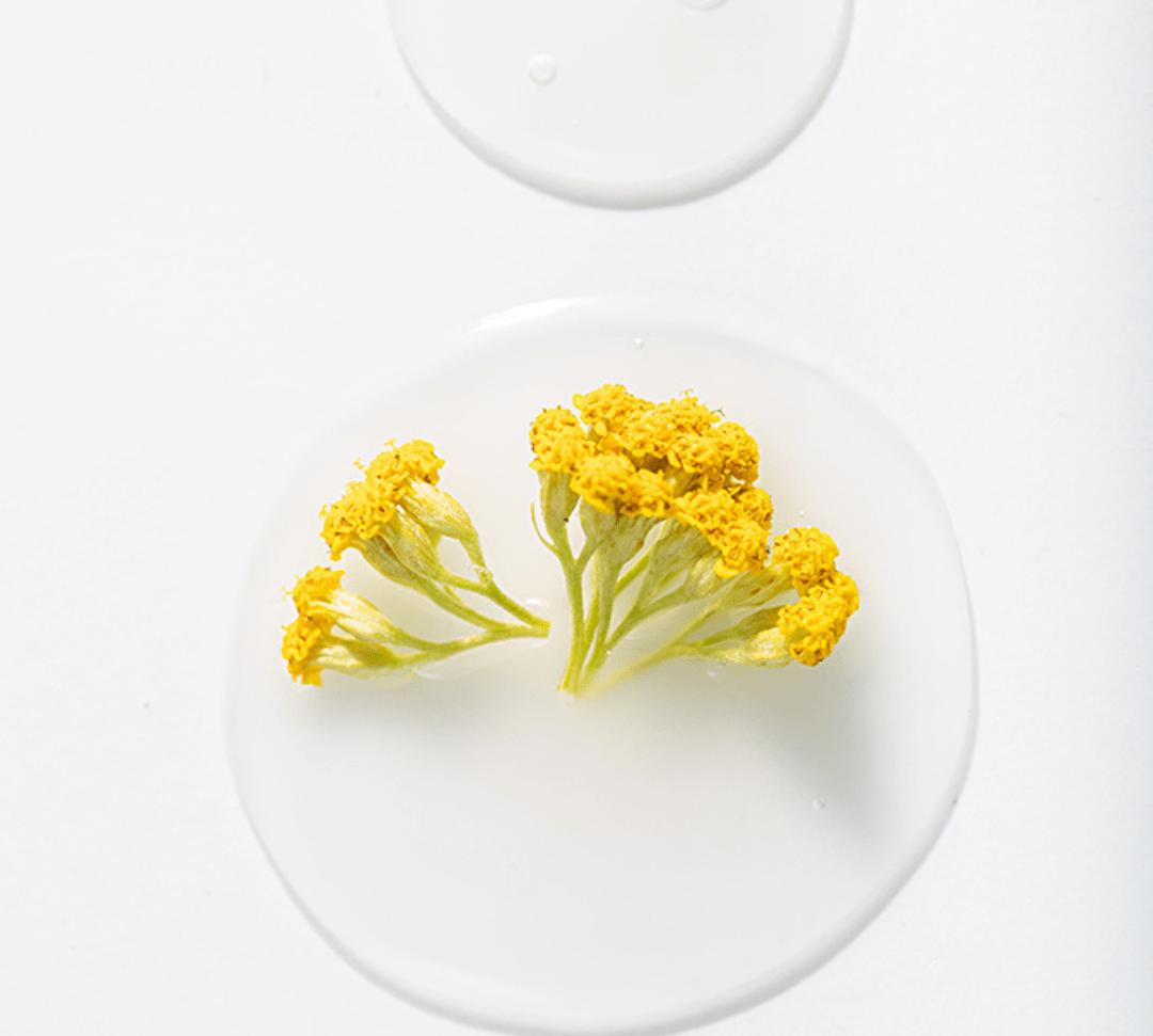 Combat Oily Skin with Immortelle Oil: Discover Rena Roots' Albanian Immortelle Oil - Rena Roots™