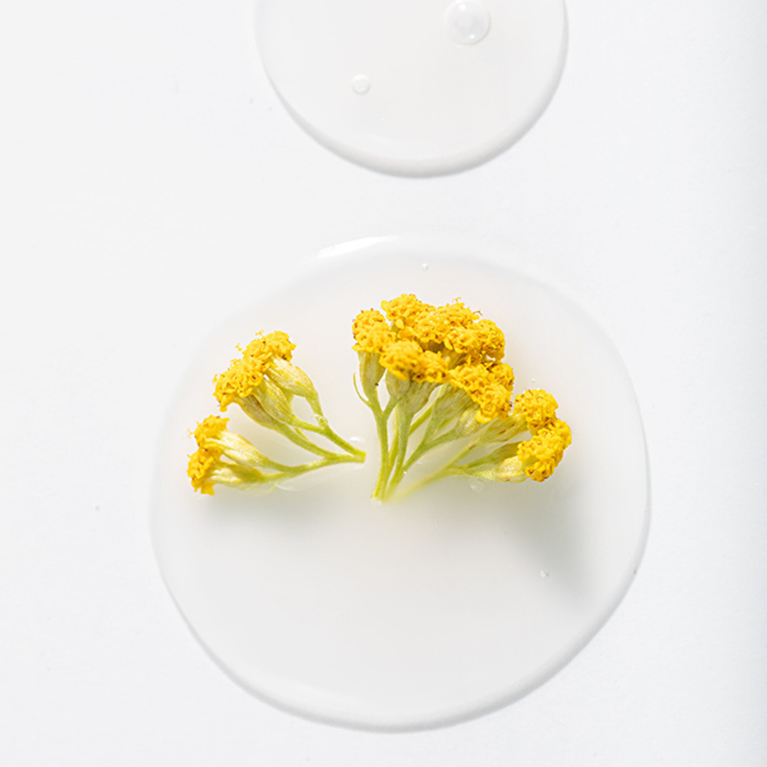 Combat Oily Skin with Immortelle Oil: Discover Rena Roots' Albanian Immortelle Oil