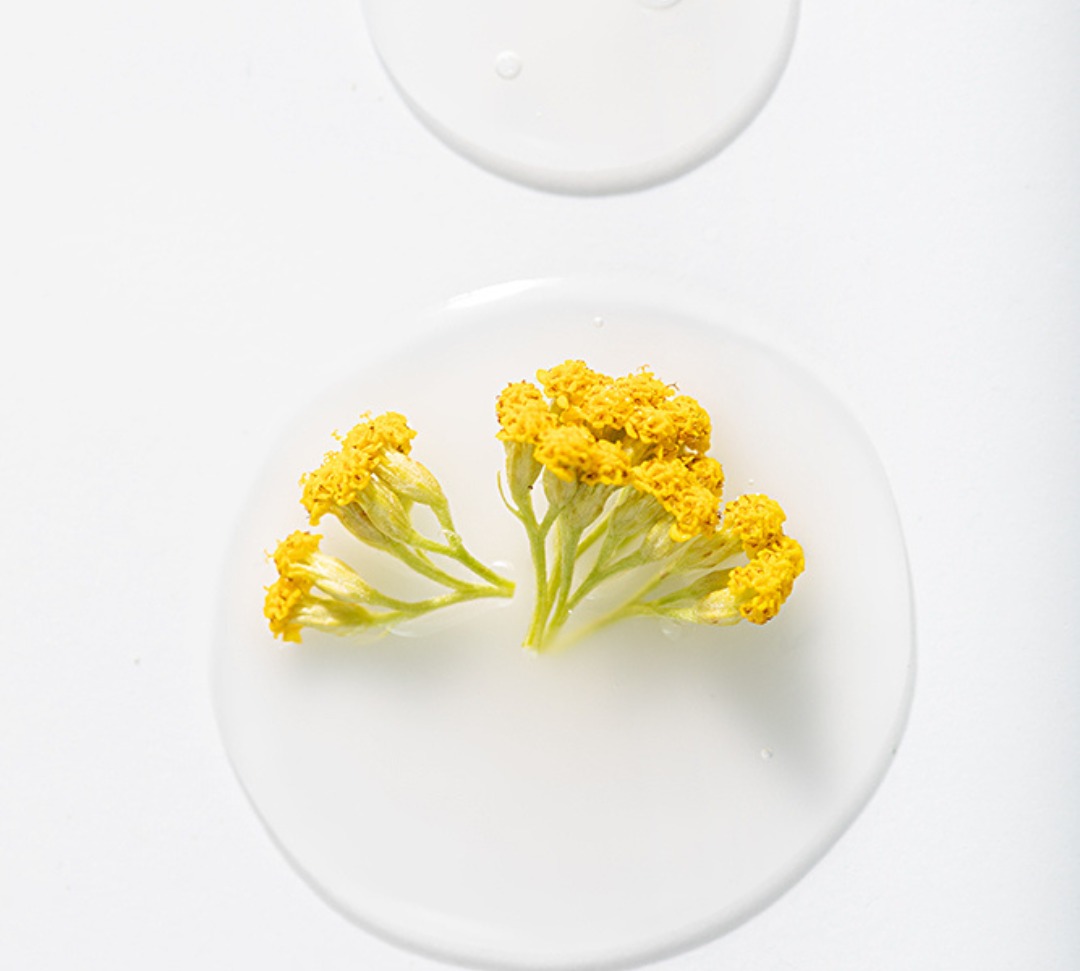 Combat Oily Skin with Immortelle Oil: Discover Rena Roots' Albanian Immortelle Oil