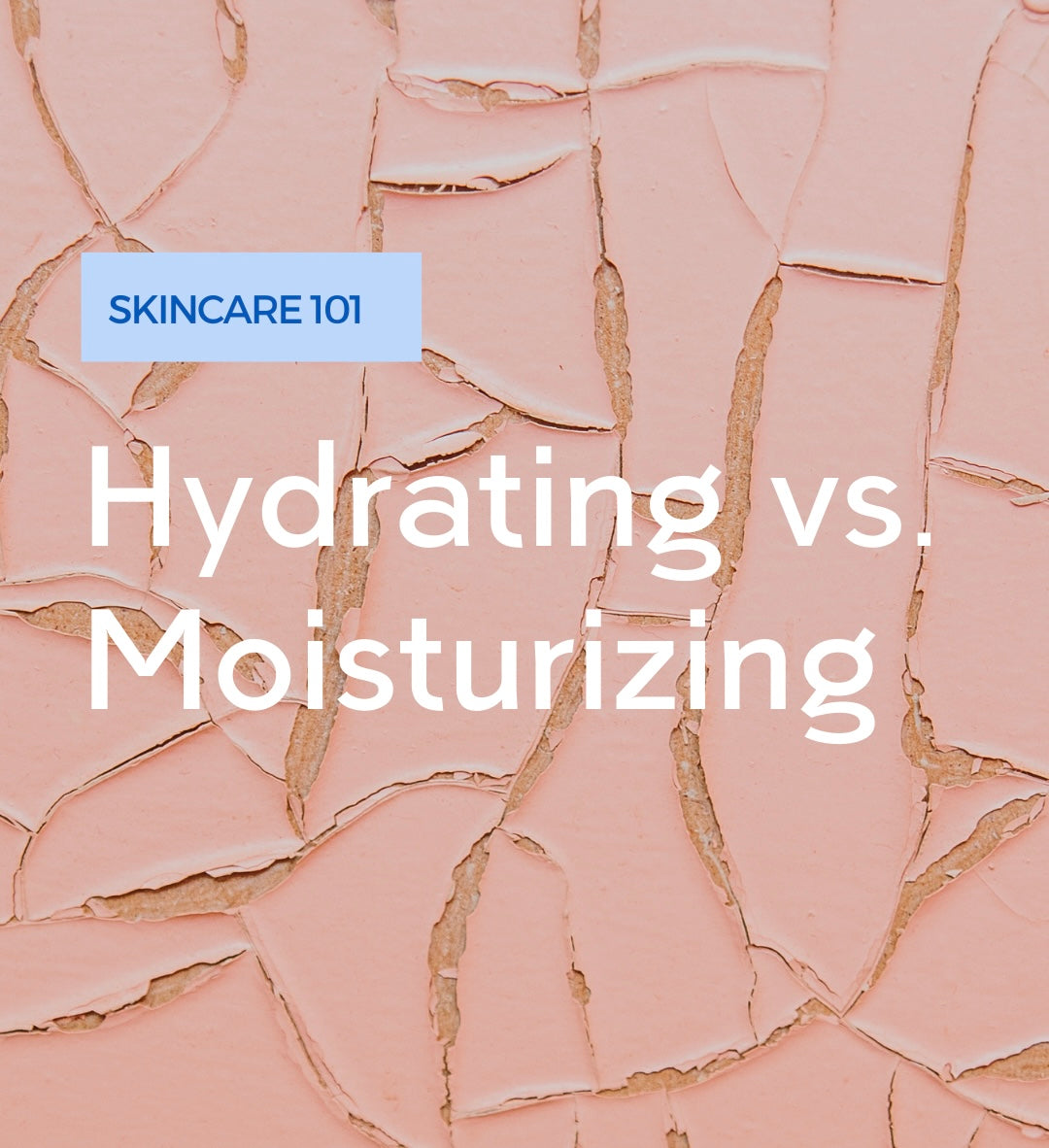 Hydrating vs Moisturizing: What's the Difference and Why Does It Matter?