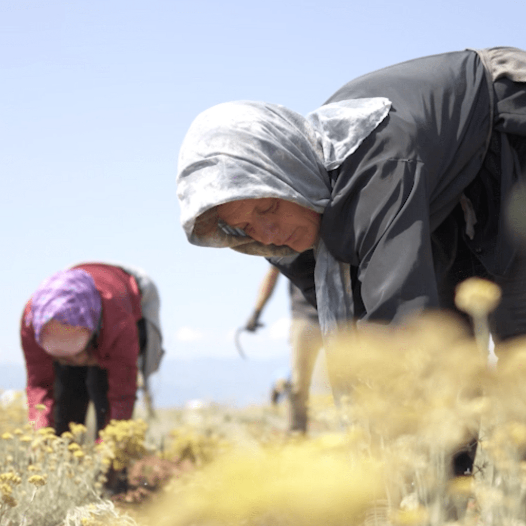 Do you want to fight world hunger? Invest in women - Rena Roots™