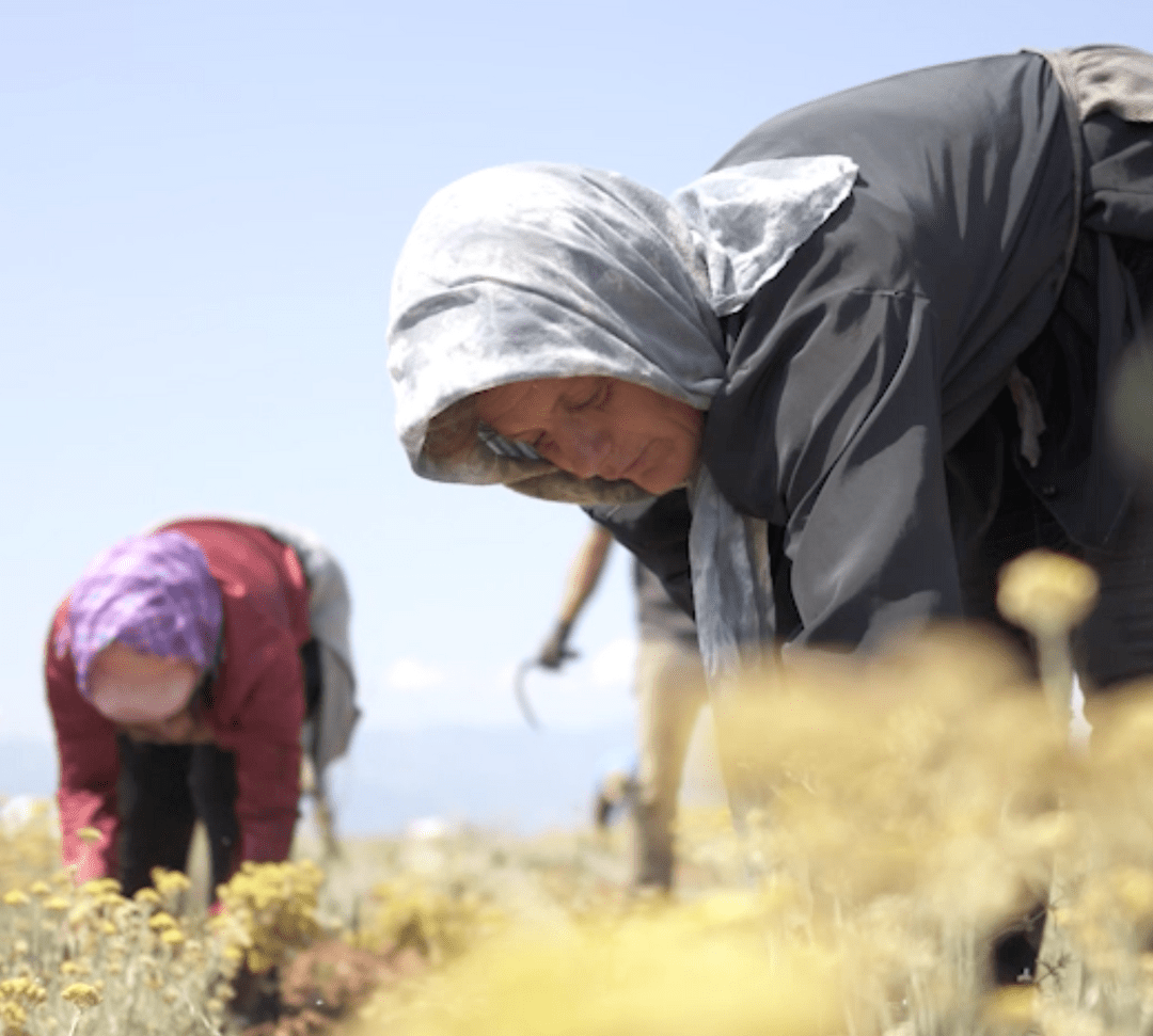 Do you want to fight world hunger? Invest in women - Rena Roots™