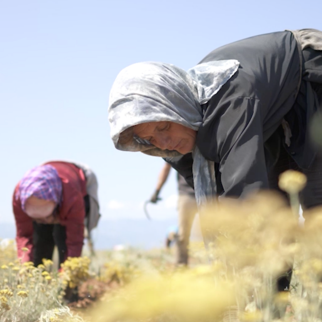 Do you want to fight world hunger? Invest in women