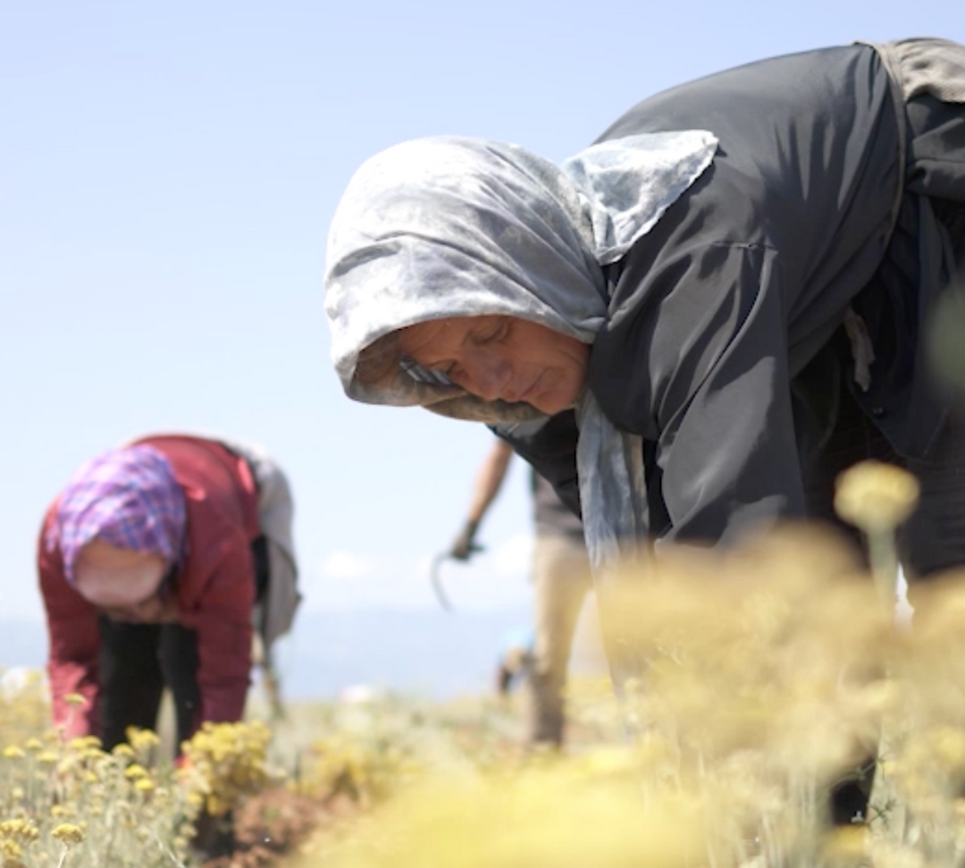 Do you want to fight world hunger? Invest in women
