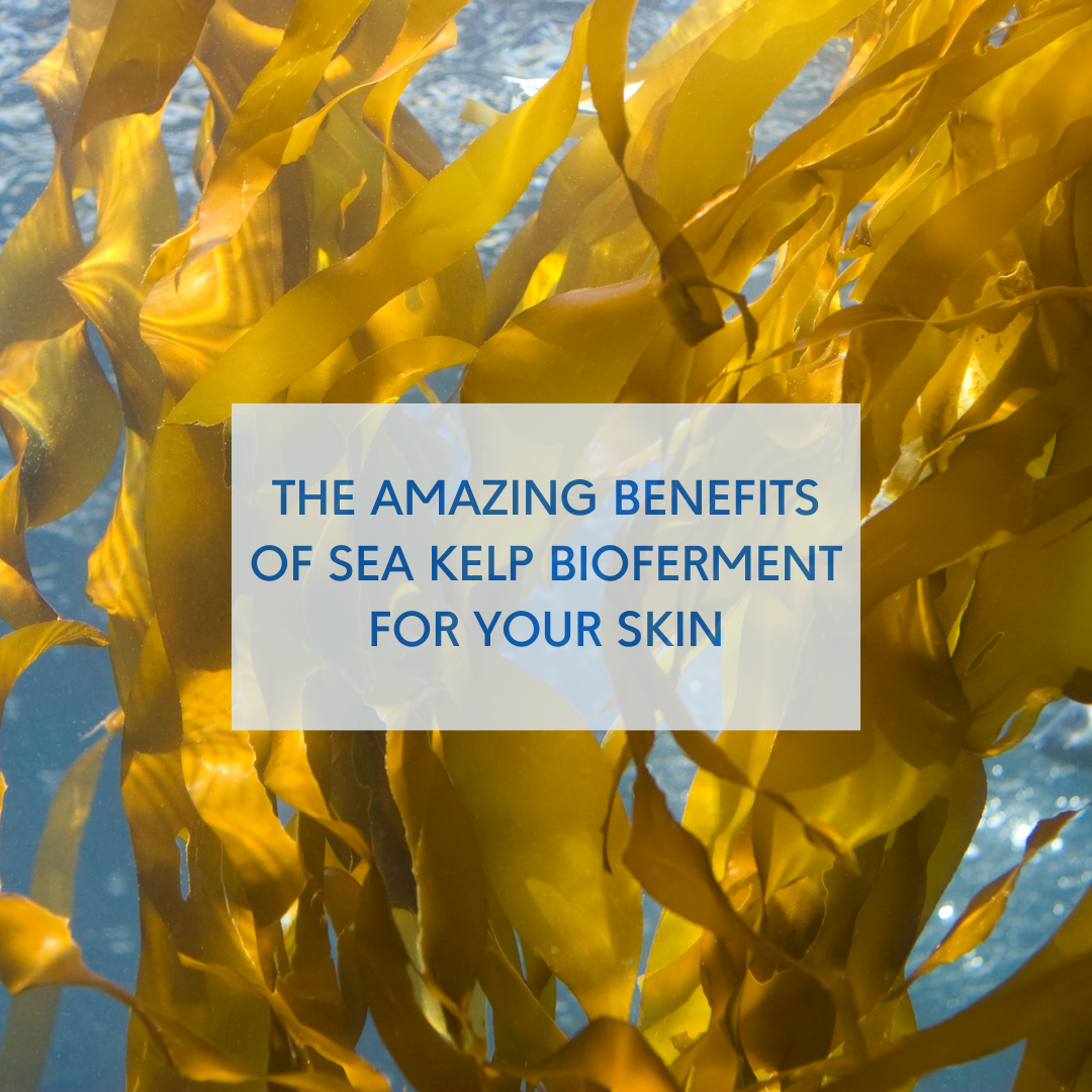 sea kelp bioferment, an amazing skincare ingredient with wide-range of benefits
