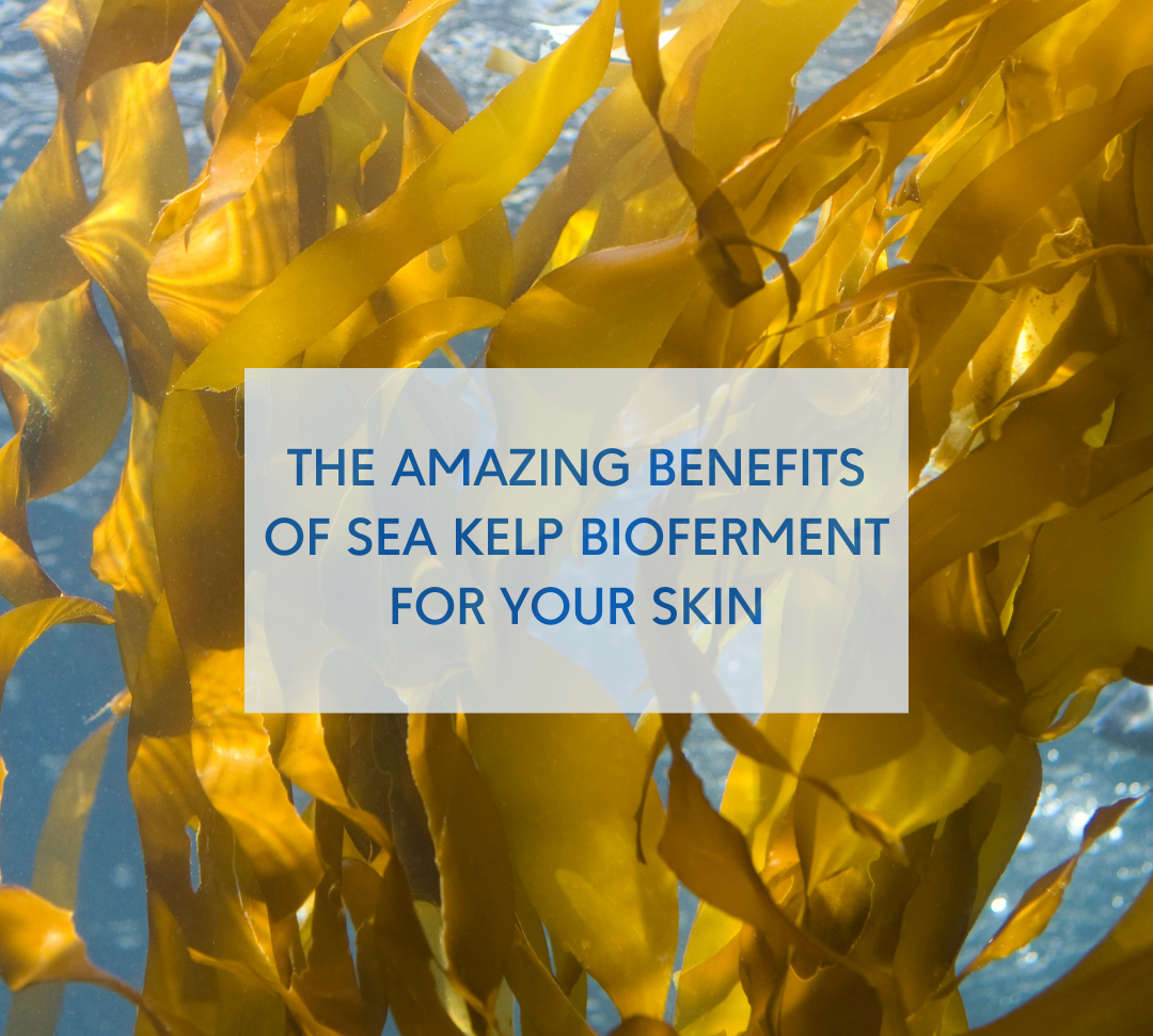 sea kelp bioferment, an amazing skincare ingredient with wide-range of benefits