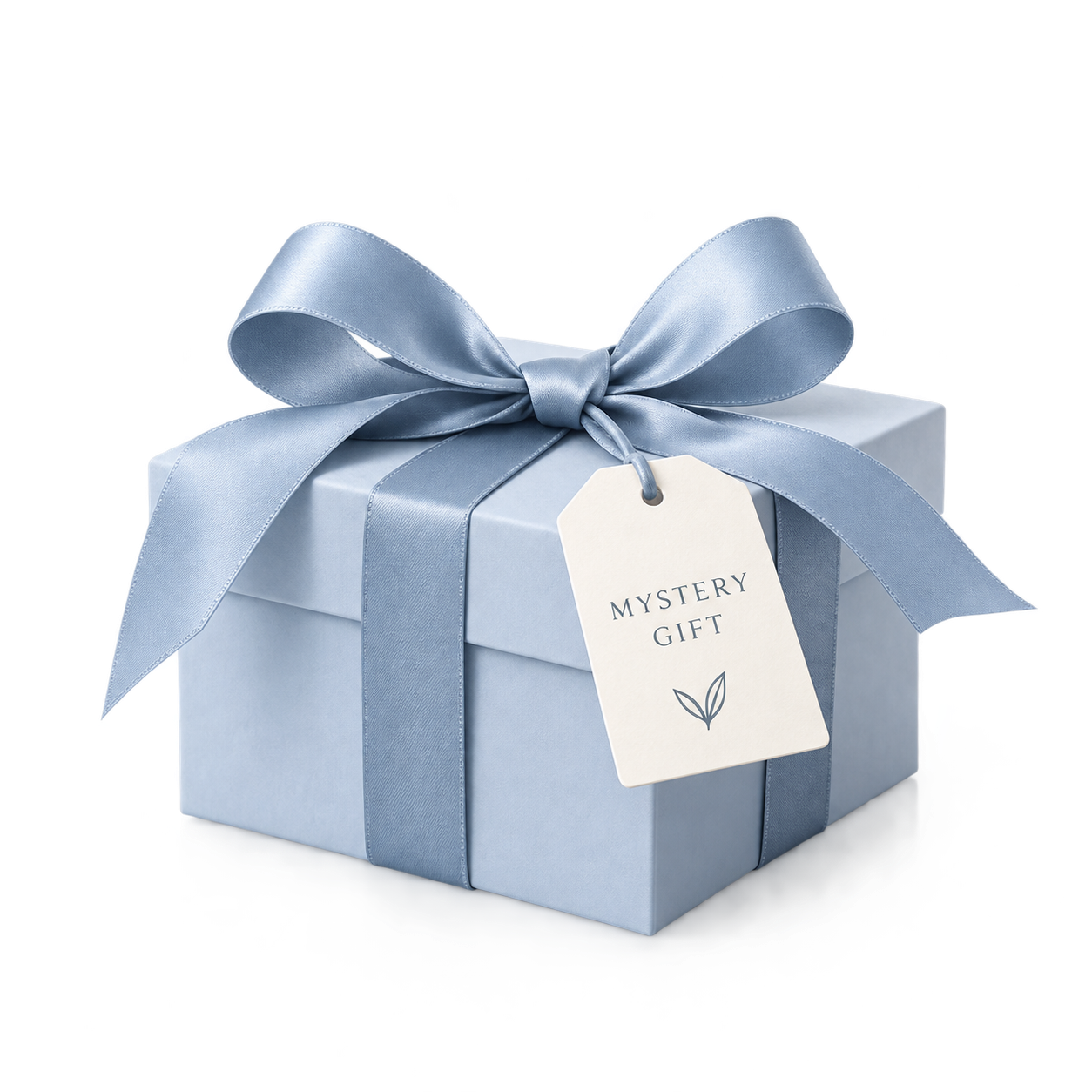 Mystery Gift
