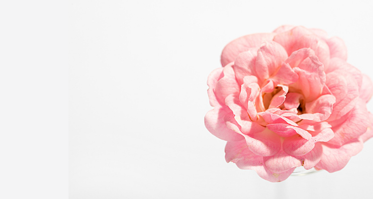 Rose_Image.png